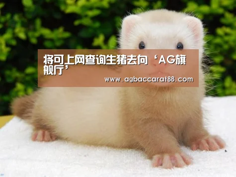AG百家乐