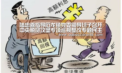 陆忠喜指导石龙镇党委领导班子召开中央脱贫攻坚专项巡视整改专题民主生活会【AG官方】(图1) AG官方