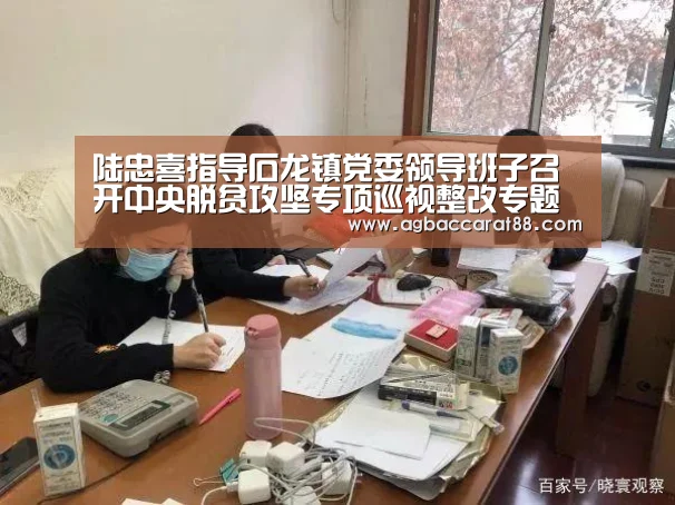 陆忠喜指导石龙镇党委领导班子召开中央脱贫攻坚专项巡视整改专题民主生活会【AG官方】(图2) AG直播