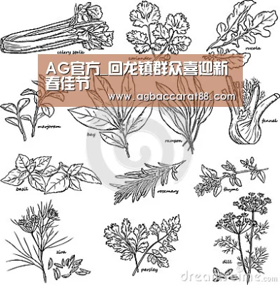AG官方_回龙镇群众喜迎新春佳节(图1) AG直播
