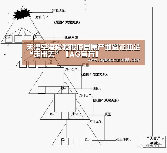 AG旗舰厅