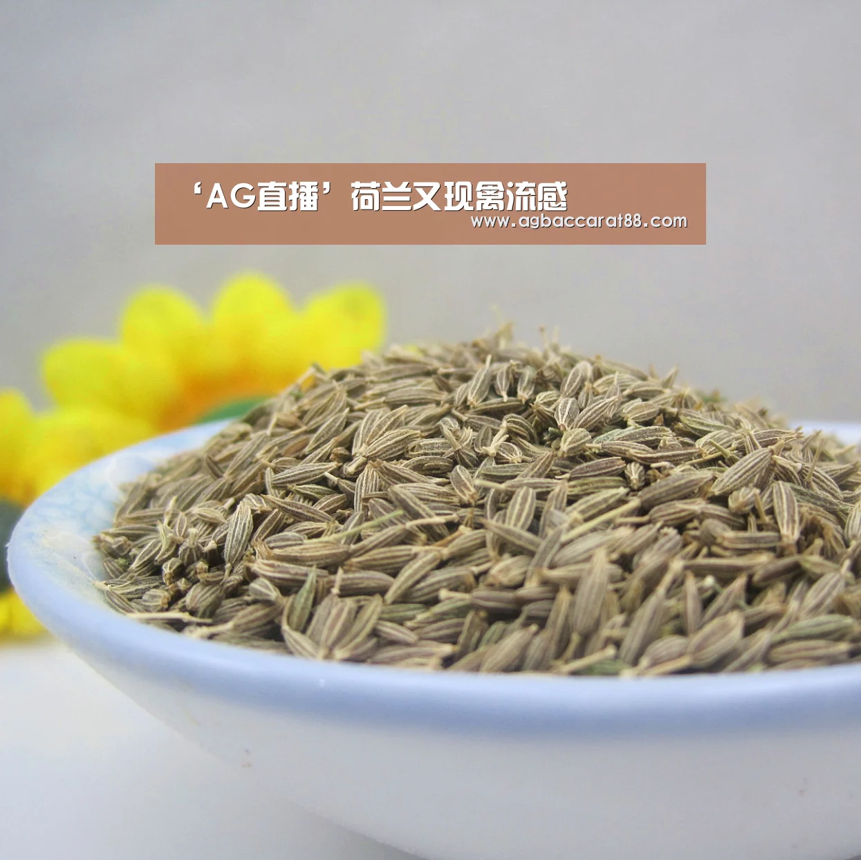 AG官方