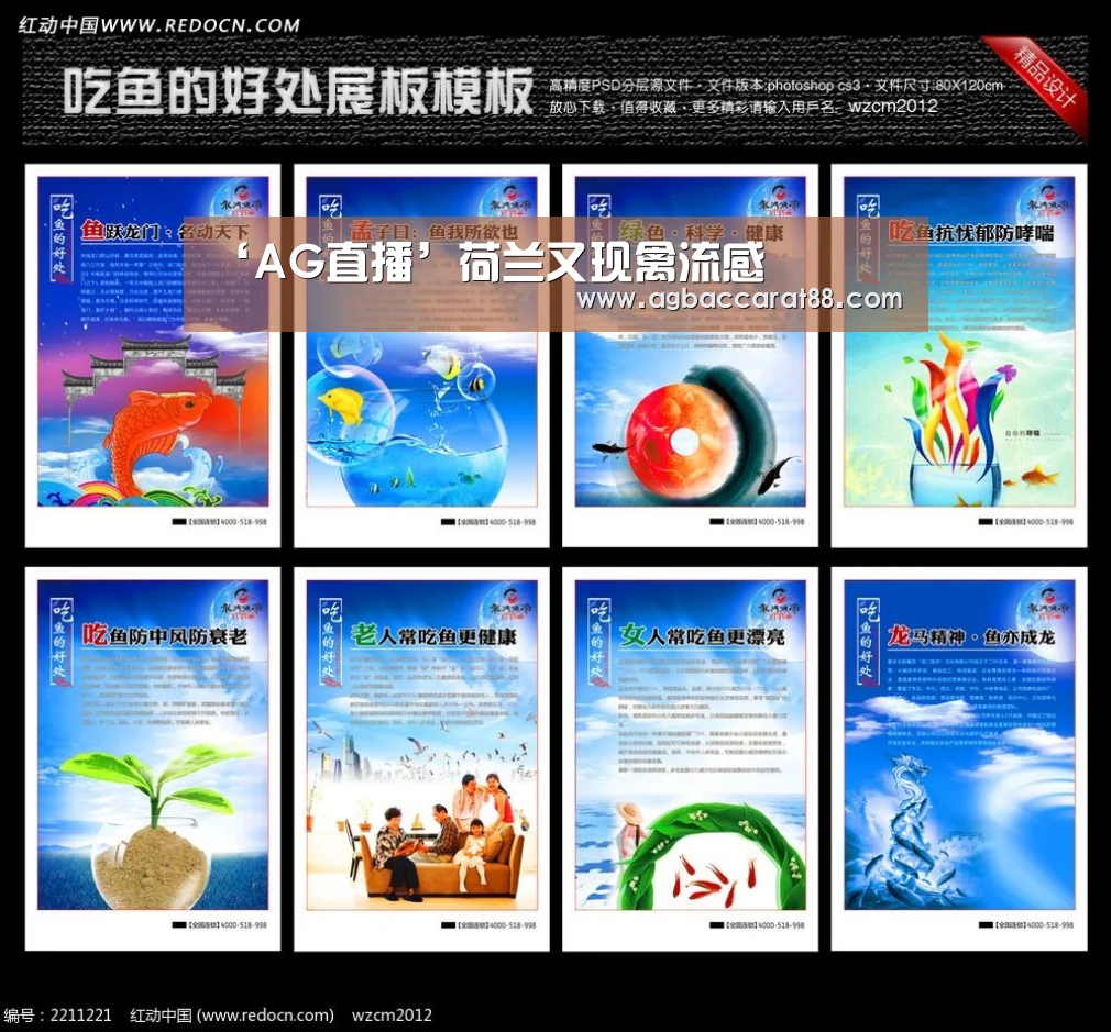 AG百家乐