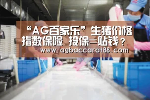 AG旗舰厅
