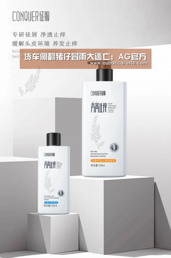 货车侧翻猪仔冒雨大逃亡:AG官方(图1) AG百家乐