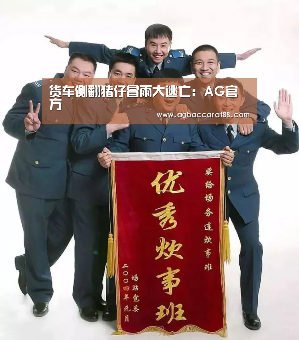 货车侧翻猪仔冒雨大逃亡:AG官方(图2) AG官方