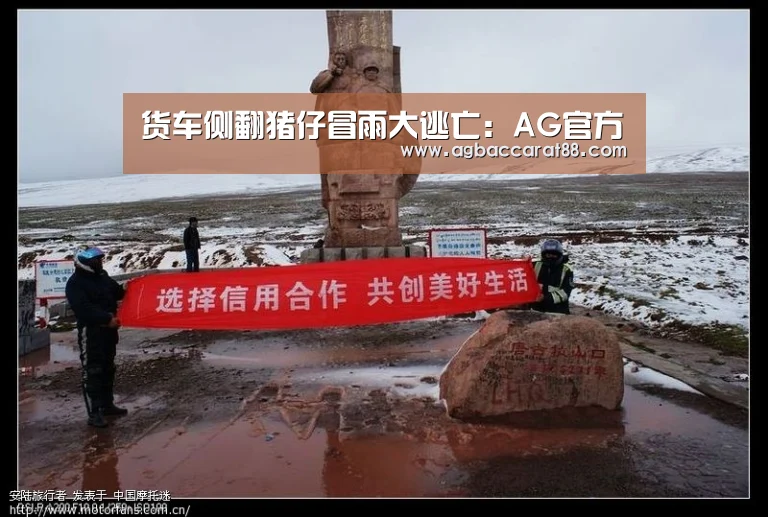 货车侧翻猪仔冒雨大逃亡:AG官方(图3) AG旗舰厅