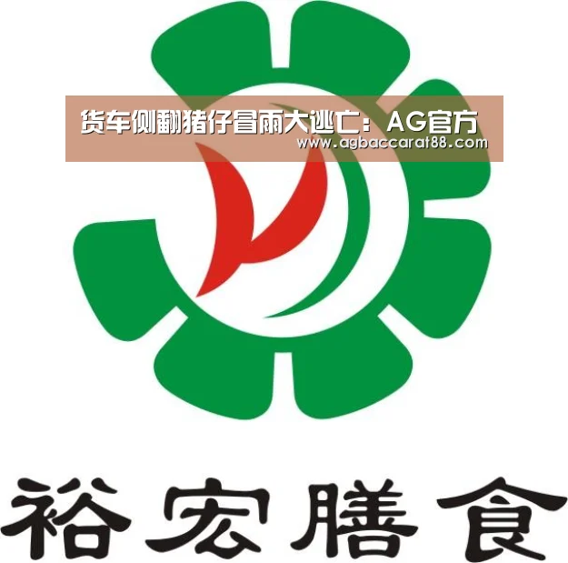 货车侧翻猪仔冒雨大逃亡:AG官方(图4) AG官方
