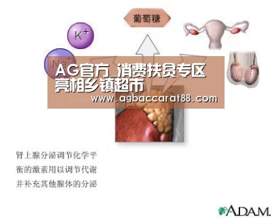AG百家乐