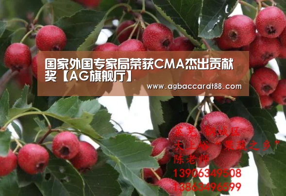 国家外国专家局荣获CMA杰出贡献奖【AG旗舰厅】(图1) AG直播