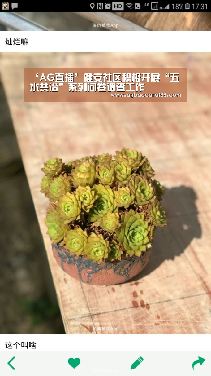 ‘AG直播’健安社区积极开展“五水共治”系列问卷调查工作(图4) AG直播