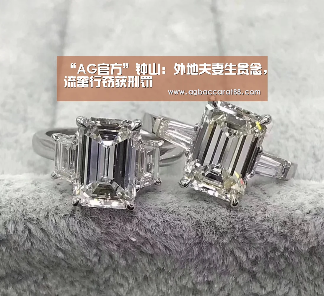 “AG官方”钟山:外地夫妻生贪念,流窜行窃获刑罚(图4) AG官方