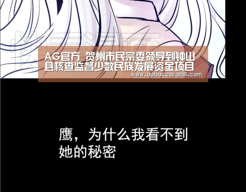 AG官方_贺州市民宗委领导到钟山县核查监督少数民族发展资金项目实施情况(图3) AG旗舰厅