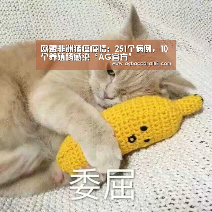 欧盟非洲猪瘟疫情:251个病例,10个养殖场感染‘AG官方’(图1) AG百家乐