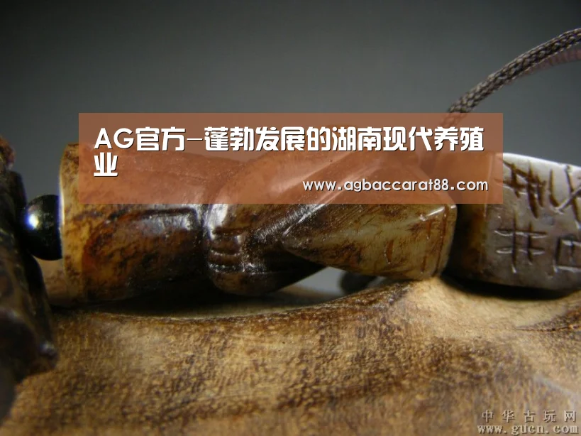AG官方