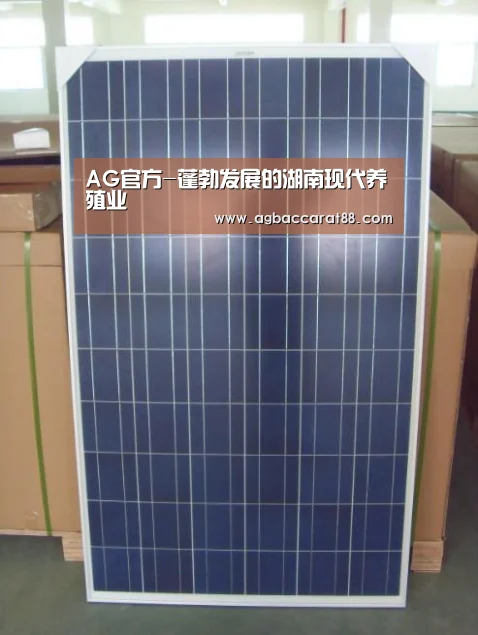 AG百家乐