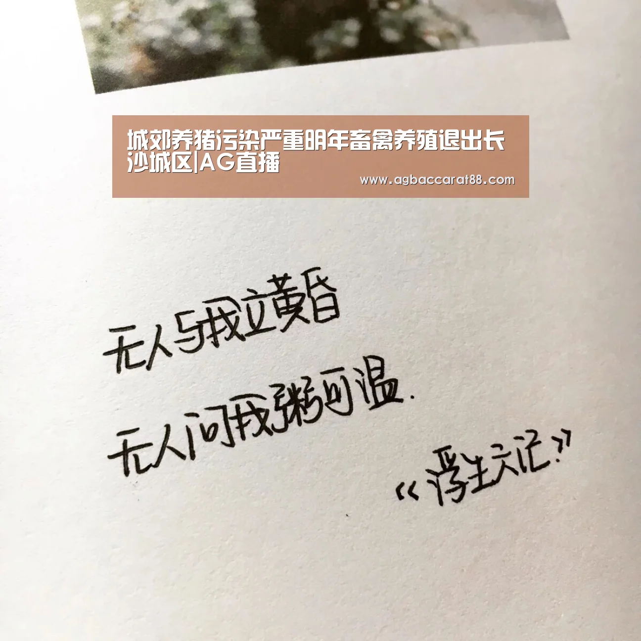 城郊养猪污染严重明年畜禽养殖退出长沙城区|AG直播(图1) AG旗舰厅
